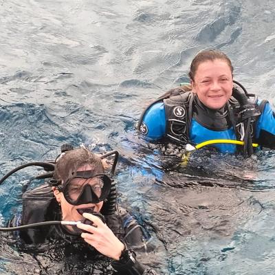 carole et sarah surface