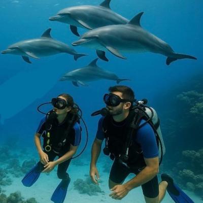 formation divemaster