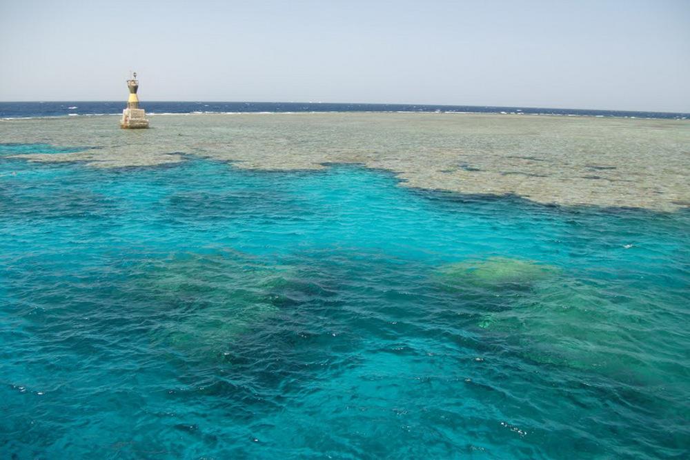 Middle reef 005