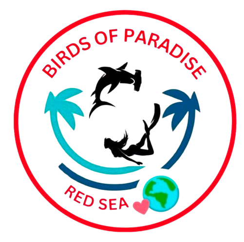 birds-of-paradise